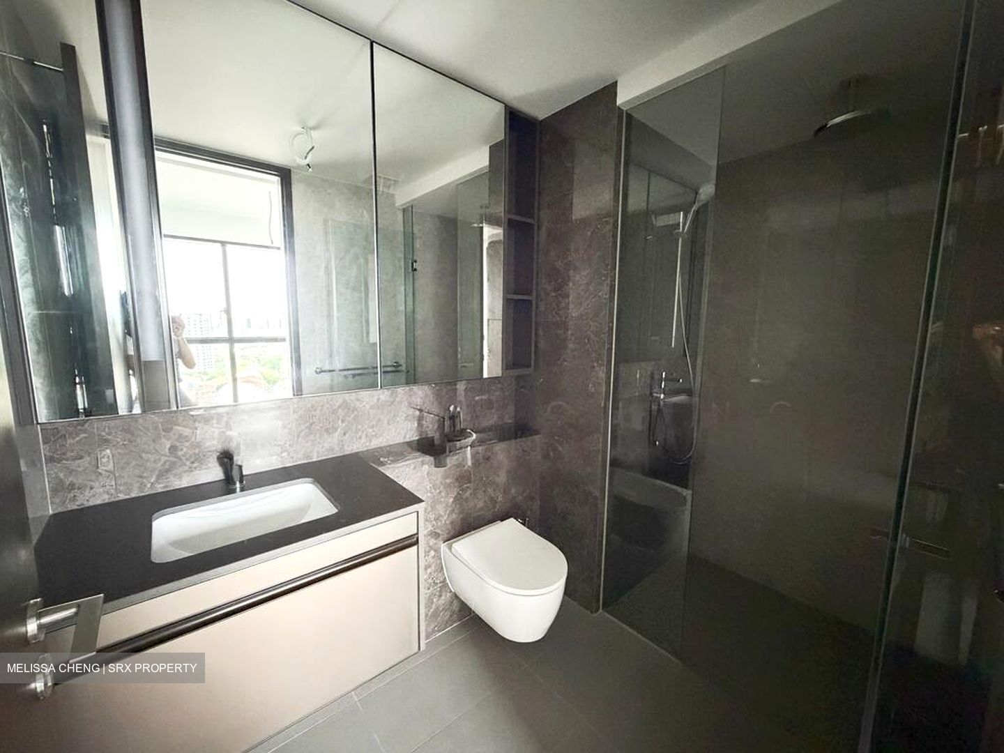 Tembusu Grand (D15), Condominium #519985691